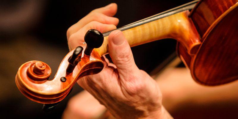 Violinist